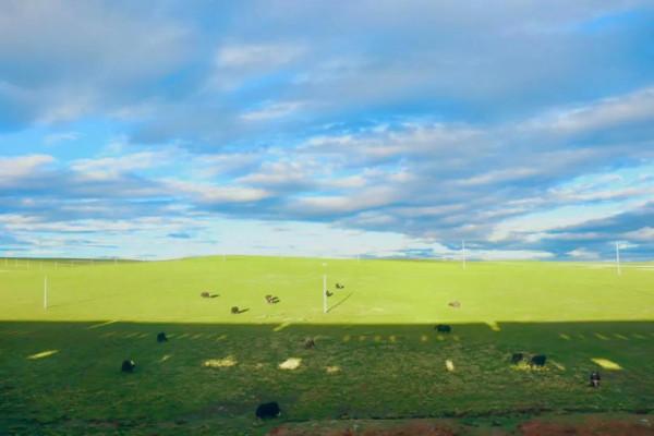 這趟開往拉薩的列車，票價不到300，一站一景美哭了