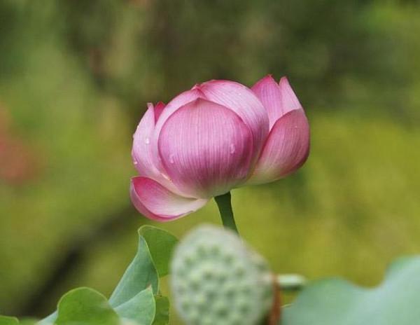 人到中年：人際關係斷、舍、離，是智慧的巔峰