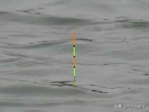 如何判斷天氣適不適合釣魚?老釣友:就看這三項資料,越低越好 如何判斷天氣適不適合釣魚?老釣友:就看這三項資料,越低越好