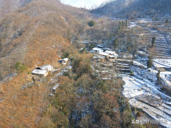 秦嶺二房山大灣裡，山路上隨處可見的的柿子樹，大多都沒有人採摘