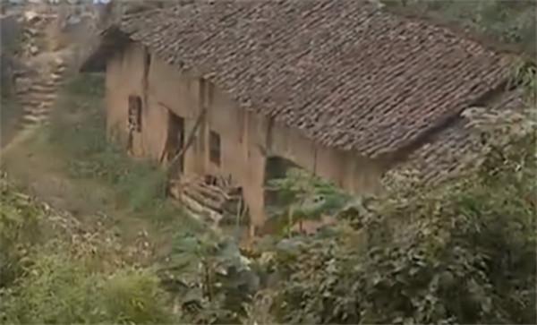 1997年，中科院對“猴娃”進行屍檢，研究者：它是小腦症患者