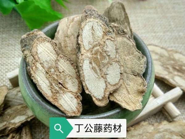 中藥古今研究：丁公藤