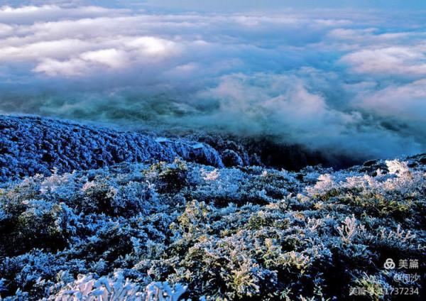 大美莽山(上) 大美莽山(上)