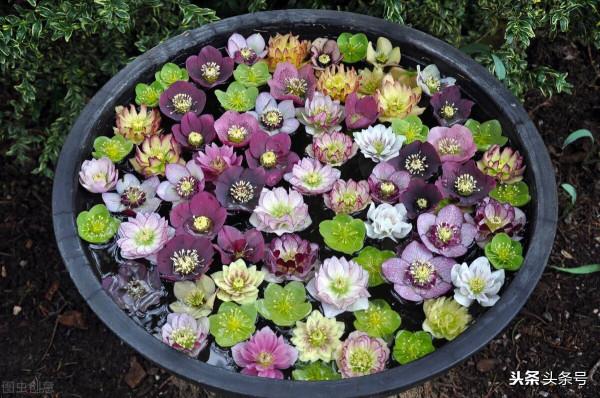 雙魚座9月22號運勢解讀 雙魚座9月22號運勢解讀