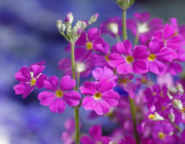 明天起,4個星座大度寬容,不斤斤計較,生活好轉,幸福指數上升 明天起,4個星座大度寬容,不斤斤計較,生活好轉,幸福指數上升