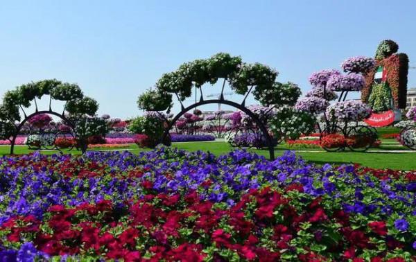 分享，最美花卉公園，收藏了