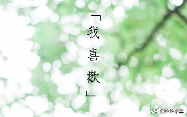 我喜歡｜|朱振華