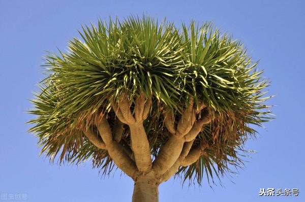 生老病死，自然規律，誰都逃不掉