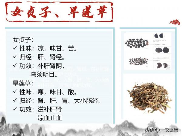 養生中藥精選 養生中藥精選