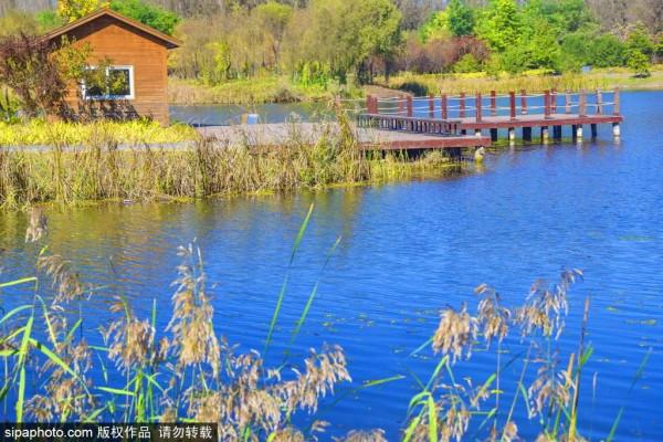 全部清零！當藝術戀上這座城，邂逅唯美“豎琴橋”，奇幻冰瀑即將亮相~