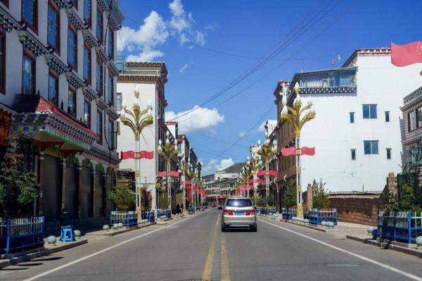 東達山埡口沒有停留，下山路邊拍了下高山草甸作留念