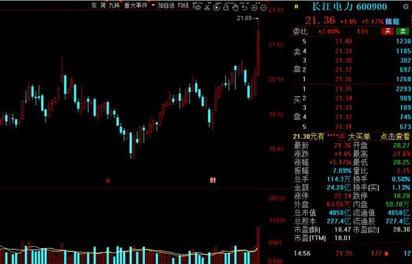 “綠色電力”搶佔市場風口！20家機構扎堆的低估值電力股出爐