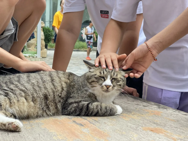 小廢貓要鹹魚翻身了咩? 小廢貓要鹹魚翻身了咩?