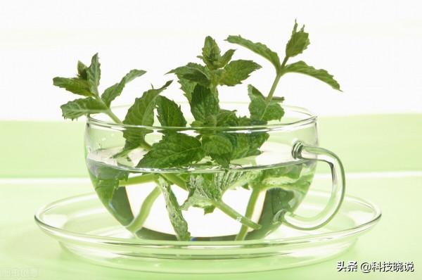 不可思議！聞香識女人，聞香也能減肥