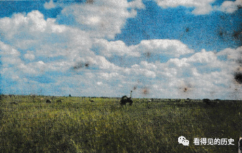 老照片 七十年代的非洲肯亞 非洲第一個野生動物園