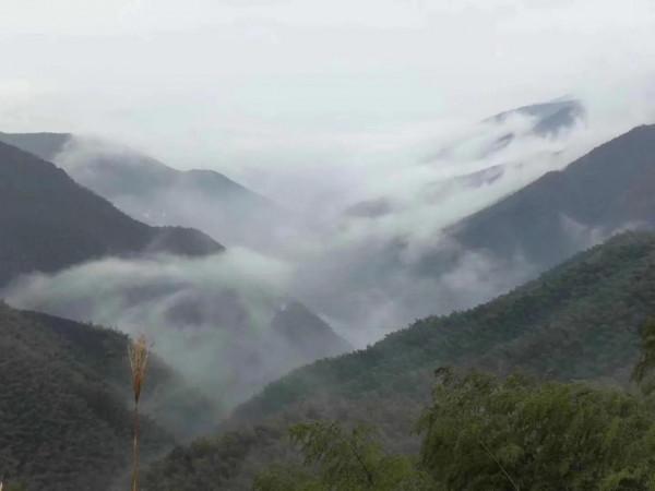 浙江最美公路 浙江最美公路