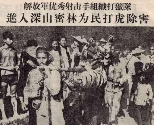 《西遊記》老虎的地位和實力居然連豹子都不如