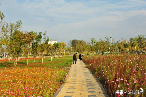 不可思議！已是深秋，月兒灣公園卻如此多彩，恰似夏日還未走遠