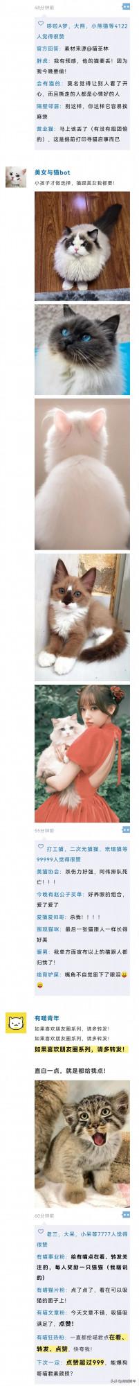 把貓P成玲娜貝兒，有億點點醜…（內附醜圖）