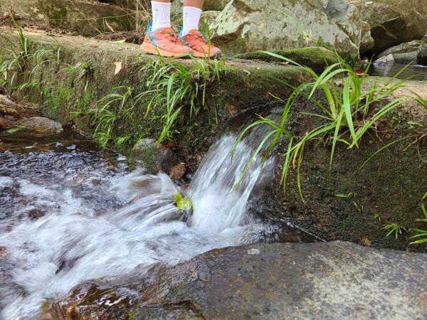 探險香港陽元石，路途崎嶇比較危險，需要資深的行山人士帶路