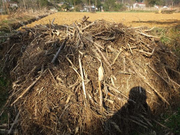 有機肥越施越多，產量卻越來越低？什麼果樹用什麼肥，你都知道嗎