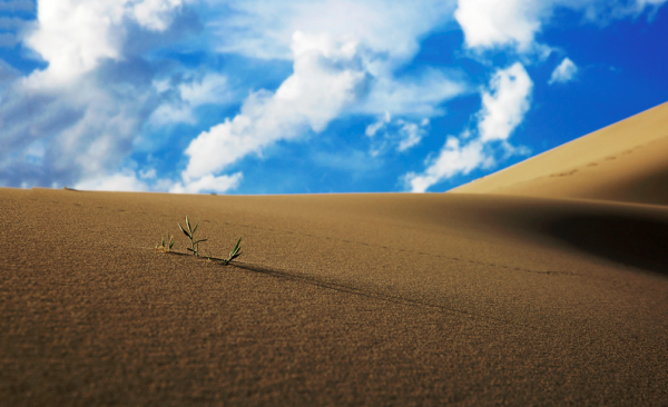 自己欠自己的旅行，什麼時候才能實現