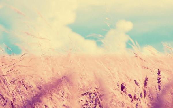 一個人最聰明的活法:擺正自己的位置 一個人最聰明的活法:擺正自己的位置