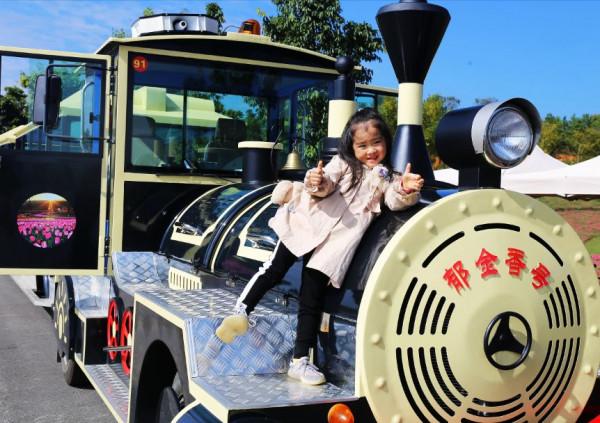 彌勒太平湖森林木屋酒店是最好的休閒、度假、養生天堂 彌勒太平湖森林木屋酒店是最好的休閒、度假、養生天堂