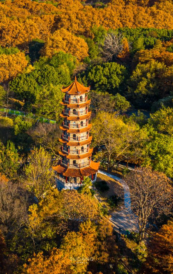 武漢人究竟多愜意?46萬平方米的城市公園猶如森林一般,景色醉人 武漢人究竟多愜意?46萬平方米的城市公園猶如森林一般,景色醉人