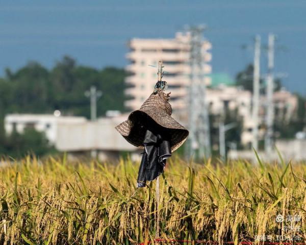 「視覺廣東」稻草人