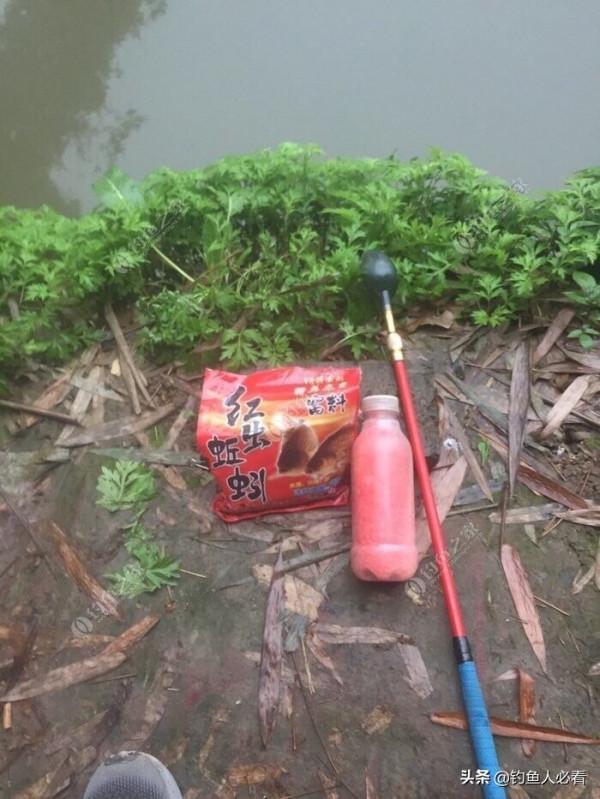 冬天釣鯽魚的技巧分享