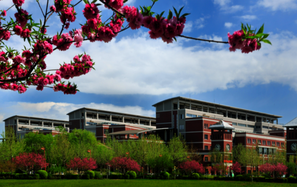 第二輪“雙一流”結果即將揭曉,山大呼聲很高,河大卻可能掉隊 第二輪“雙一流”結果即將揭曉,山大呼聲很高,河大卻可能掉隊