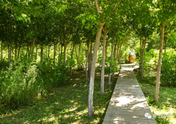 秋日農場嗨玩!露營野餐,種菜摘果,過嚮往的田園生活 秋日農場嗨玩!露營野餐,種菜摘果,過嚮往的田園生活