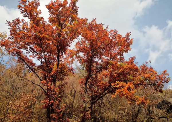 抓住秋天的尾巴，快來這8個絕美旅行地，享受當下的美景吧