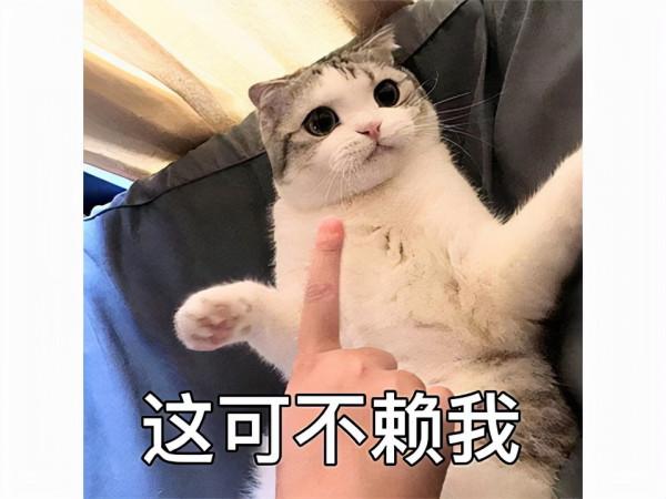 騰訊網易被連續打臉?中專生做的大作93%好評，房地產商也做好遊戲