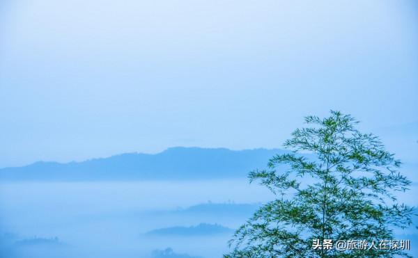 從廣東南雄出發,去看有1680多年的最美銀杏林,這裡全攻略如何玩 從廣東南雄出發,去看有1680多年的最美銀杏林,這裡全攻略如何玩