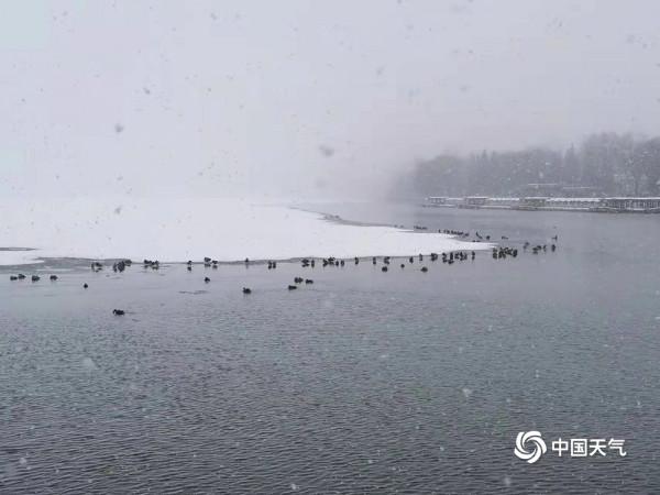 雪中景山公園北海公園 美如畫卷