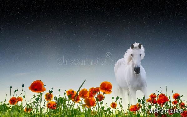 致獅子座：人生需要輕裝前行，把自己看輕，能減少很多焦慮