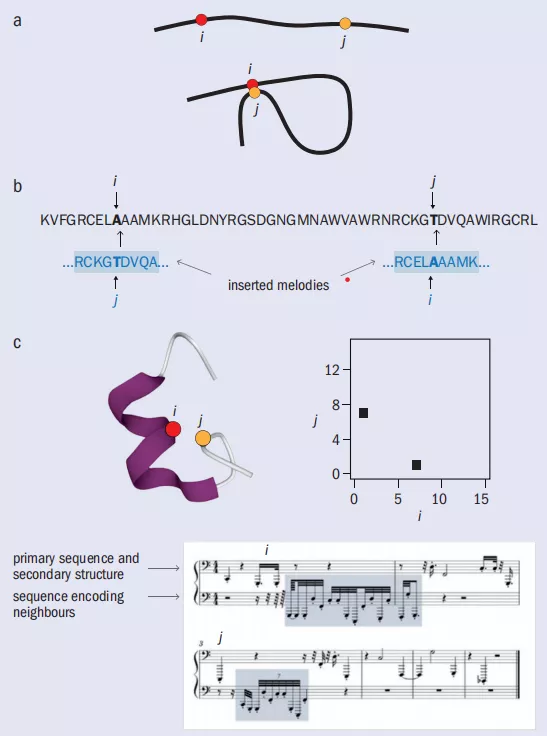聽，巴赫蛋白分子協奏曲
