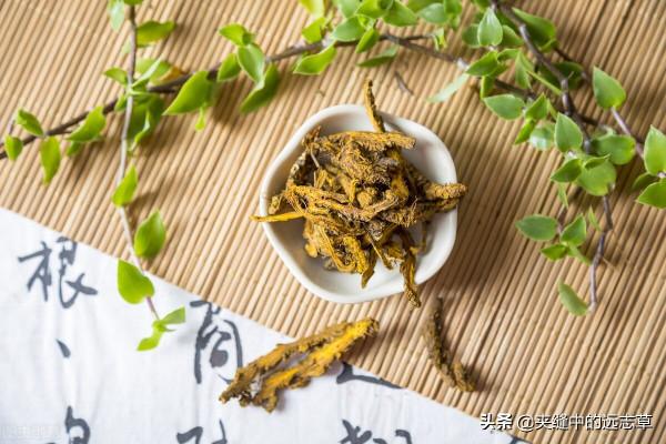 鬱鬱寡歡？分享五味中藥，善解六鬱，送給正在糟心的你