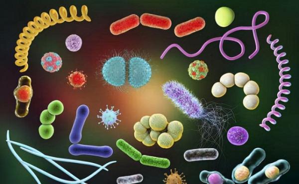 帕莎帕琦V-Block抗菌玻璃杯，不止於喝水