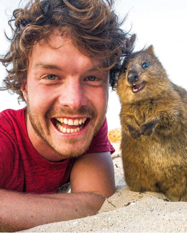 澳洲小哥靠一組照片成為“年度網紅”:絕了,每隻動物都會笑? 澳洲小哥靠一組照片成為“年度網紅”:絕了,每隻動物都會笑?