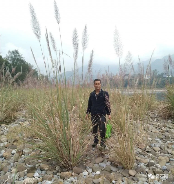 尋石樂趣——一腳踢出來的美石