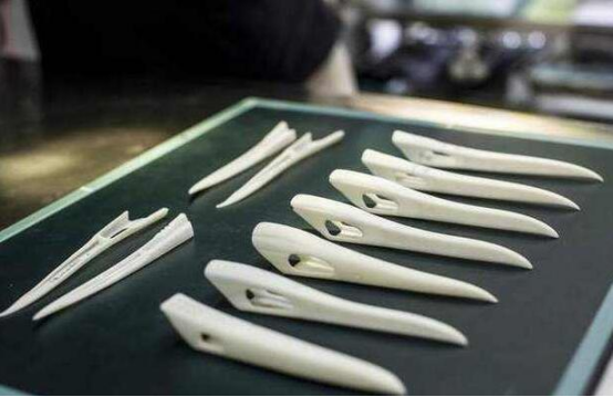 丹頂鶴換上鈦合金喙，它用&OpenCurlyDoubleQuote;鐵嘴&rdquo;打遍群鶴無敵手