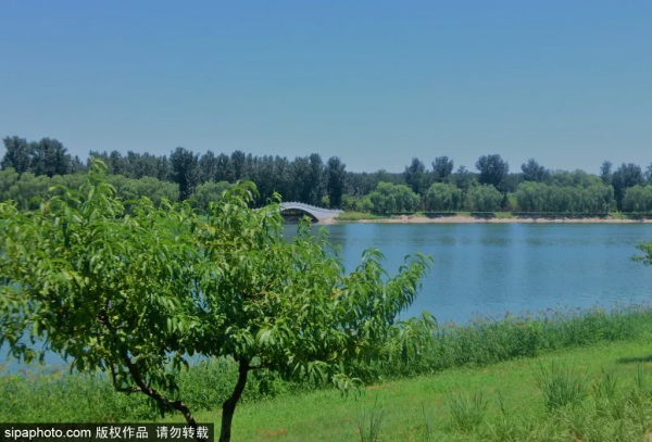 中秋沒搶到票？環球影城周邊超多免費“巨無霸”公園任你逛！