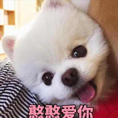 再三提醒:養這幾種狗狗,需慎重考慮,別不聽勸 再三提醒:養這幾種狗狗,需慎重考慮,別不聽勸