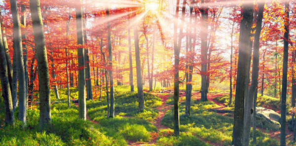 無論處於人生哪個階段，女性都要有經濟保障