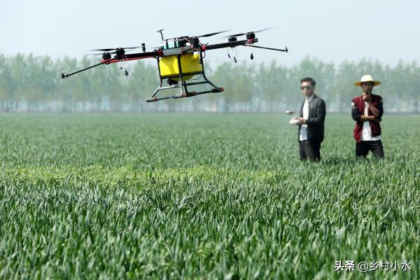 作物病害多、產量低？老農教你個“黃金配方”，作物防病又增產