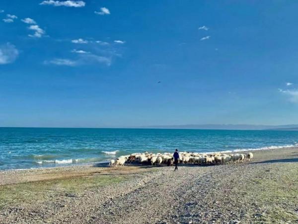 去大西北旅遊與少數民族喝酒真那麼可怕嗎?我告訴你真相 去大西北旅遊與少數民族喝酒真那麼可怕嗎?我告訴你真相