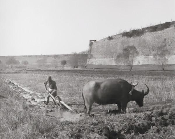 國民黨師長率萬人起義，47歲拒當司令員回鄉，胡耀邦專門設宴送行